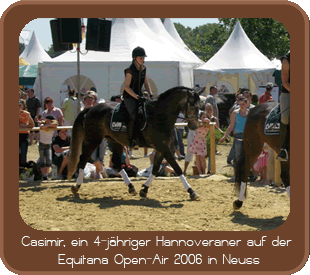 Casimir